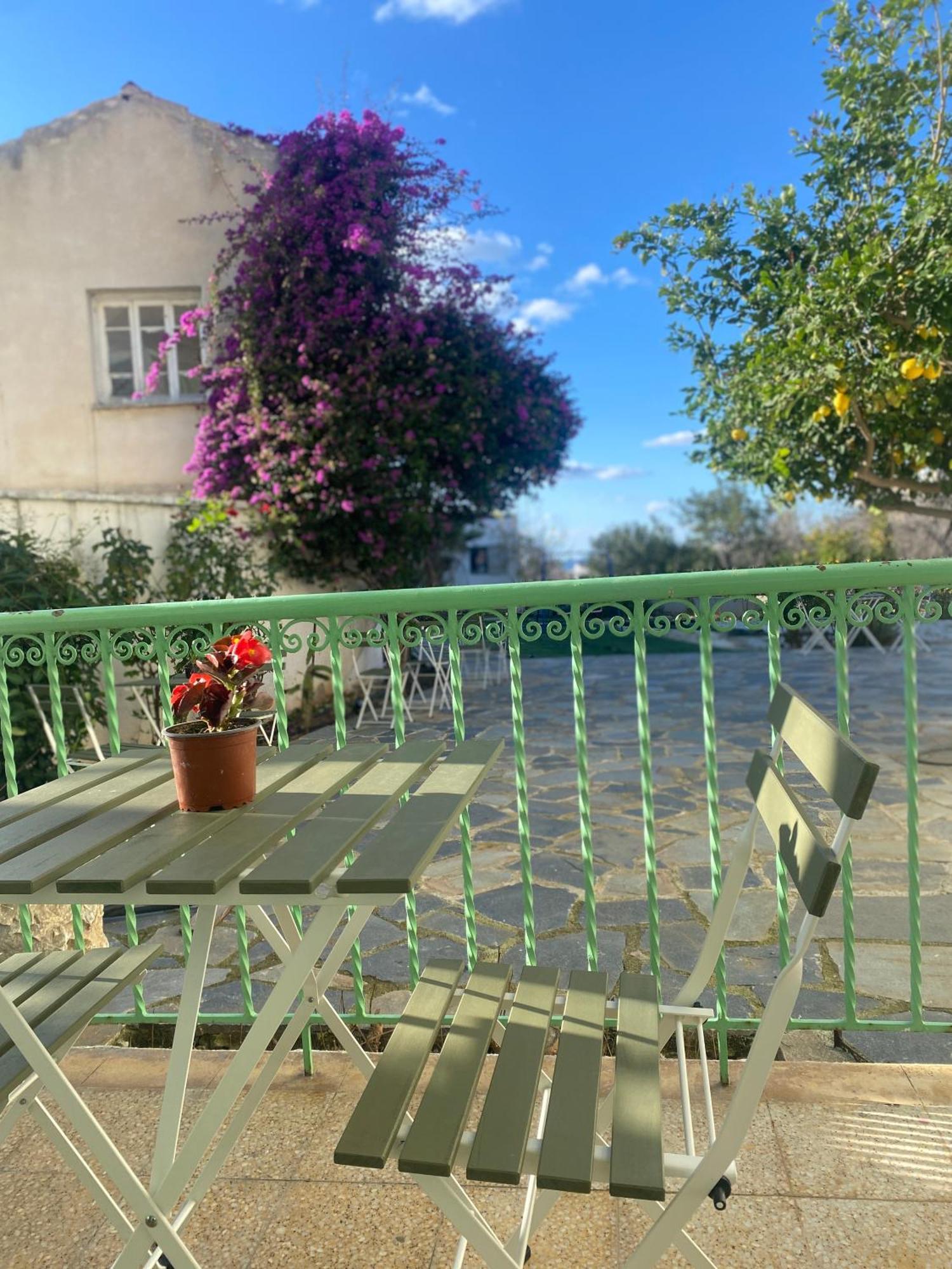 Hostl - Beds & - The Paphos, Old Town * Pafos